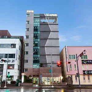 사하라 제주